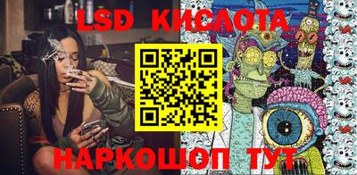 apvp Свободный