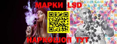 apvp Свободный