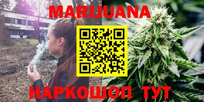 apvp Свободный